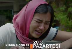 Kırgın Çiçekler yeni sezona ne zaman başlayacak?