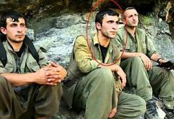 'Hepsinin yalan olduğunu anladım'