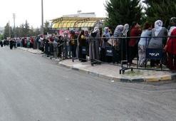 Kilis'te geçici işe yoğun başvuru