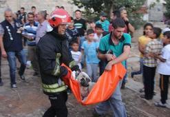 Köpeğe işkence yapıp, 20 metre yükseklikten attılar