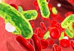 Sessiz katil sepsis! Kanser ve AIDS’den daha ölümcül