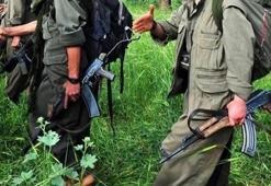6 PKK'lının ölü ele geçirildiği operasyonda yakalanan terörist 'Mavi liste'ymiş