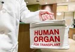 İşte organ naklinde suiistimali önlemenin yolu!