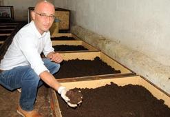 Solucan satışından 1 yılda 1 milyon lira kazandılar