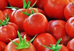 Rusya'dan beklenen müjde geldi