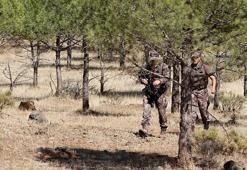 Muğla'da çatışma! 5 PKK'lı terörist öldürüldü, operasyon sürüyor
