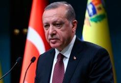 Cumhurbaşkanı Recep Tayyip Erdoğan, şampiyon sporcuları tebrik etti