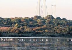 Kuş Oteli’ni dünya izleyecek
