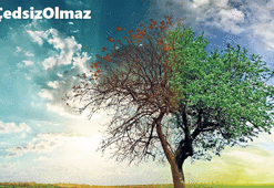 Çevrecilerden‘ÇED’siz olmaz’ kampanyası