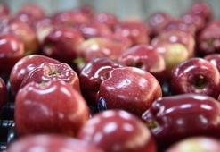 Elmayı yıkamak yetmiyor karbonatlı suda bekletin
