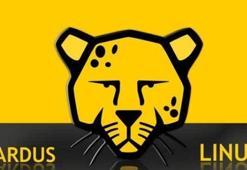 Pardus nedir? Pardus'un özellikleri nelerdir