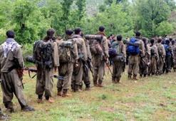 PKK kamplara girişi yasakladı!