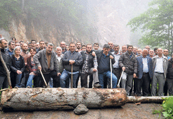 Cerattepe’de orman katliamı iddiası