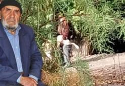 Köpeğe tecavüz etmekle suçlanıyordu! Gerçek şoke etti