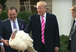 Trump hindilerin canını bağışladı