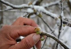 Meteorolojiden 5 il için don ve buzlanma uyarısı