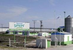 Beyaz et devi ikinci kez satışa çıktı