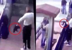 TSK'dan kediye işkence eden asker hakkında açıklama