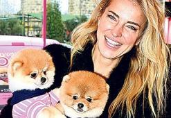 Bu köpekler  süs eşyası  değil!