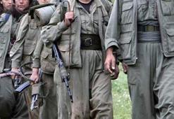 "Terör örgütünden yeni kaçışlar olabilir"