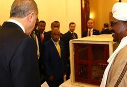 Erdoğan'a hediye edilen aslanlar için hazırlıklar başladı