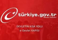 E-Devlet’e nasıl girilir? E-Devlet şifresi nasıl alınır?