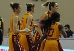 Aslan evinde zorlanmadı