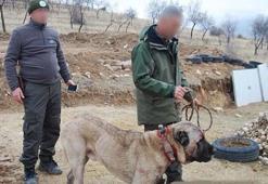 Vahşet konvoyu! 7 ilden 100 kişi toplandı