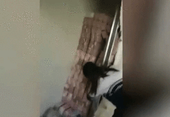 Yıkılan duvarın içinden milyon dolarlar çıktı!