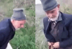 İğrenç! Kocaeli'de köpeğe tecavüz ederken yakalandı