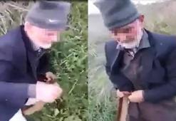 İşte köpeğe tecavüz eden sapığa verilen ceza