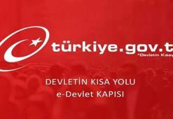 E-Devlet sorgulama işlemleri nasıl yapılır? e-Devlet şifresi nasıl alınır?