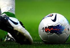 1. Lig'e teknik direktör dayanmıyor