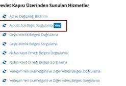 e-Devlette soyağacı izdihamı