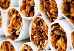 Sigara paketlerine 'tek tip' uygulaması başlıyor!