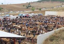Kastamonu'da bir köy karantina altına alındı