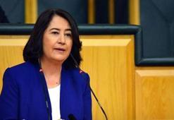 HDP eski Eşbaşkanı Serpil Kemalbay gözaltına alındı