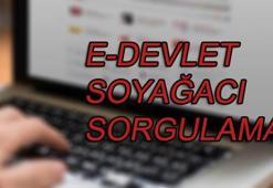 E-devlet soy ağacı sorgulaması nasıl yapılır?
