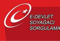 Soyağacı sorgulaması nasıl yapılır? E-devlet giriş...
