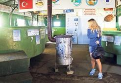 Yaralı kaplumbağalar  odun sobasıyla ısınıyor