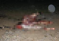 Korkunç görüntüler! Polis ihbar üzerine gitti ve...