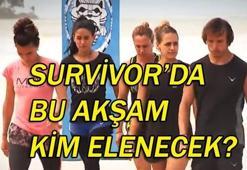 Survivor'da bu akşam kim elenecek? İşte Survivor 2018 eleme adayları...