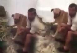 Çadırda köpeğe tecavüz etti, sopalarla dayak yedi!