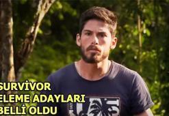 Survivor'da bireysel dokunulmazlık kimin oldu? İşte Survivor eleme adayları...