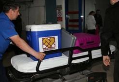 Ordu'da organ beklerken başkalarına umut oldu