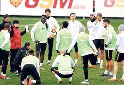 Aslan geleceğini arıyor!