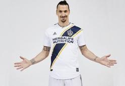 İşte Fenerbahçe-Ibrahimovic görüşmesinin detayları