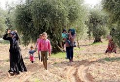 Türkiye'ye çağrı yapmışlardı! Oradan da kaçışlar başladı