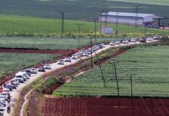 Dev konvoy! 10 bin kişilik aşiret böyle geldi