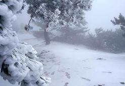 Herkes şaşkın! Kar kalınlığı 10cm'yi geçti